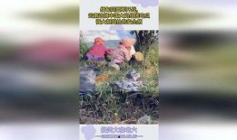 大妈边境吃瓜原视频,揭秘边境风情与日常生活