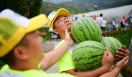 吃瓜群众嗨的视频,嗨！揭秘吃瓜群众嗨视频背后的趣味与真相