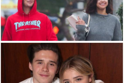 盘点明星吃瓜视频大全下载,笑料百出，精彩纷呈