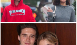 盘点明星吃瓜视频大全下载,笑料百出，精彩纷呈