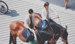 街头骑马吃瓜视频,骑马吃瓜，现代都市的另类风情