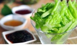 吃凉瓜的视频大全