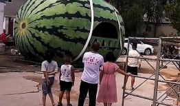 人类在线吃瓜视频