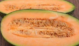 哈密瓜怎么吃嫩苗视频,视频教你美味养生新选择