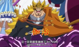 海贼王四人吃瓜视频播放,瓜田里的冒险家们！