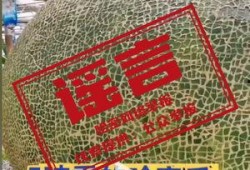 吃哈密瓜视频抖音