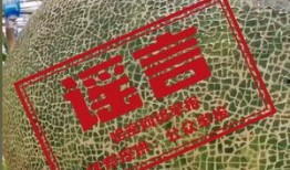 吃哈密瓜视频抖音