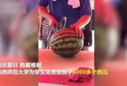 大老师跨年吃瓜视频大全,大老师带你领略年度吃瓜盛况