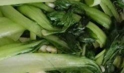 小巷人家吃蛇瓜视频,揭秘蛇瓜的独特烹饪之旅