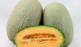 哈密瓜怎么吃嫩苗视频,视频教你美味养生新选择