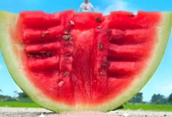 带你吃瓜搞笑视频滑滑梯,带你笑翻带你吃