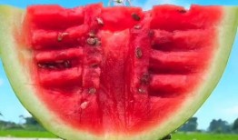 带你吃瓜搞笑视频滑滑梯,带你笑翻带你吃