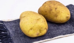 带你吃瓜豹纹土豆视频下载,吃瓜豹纹土豆视频背后的下载攻略