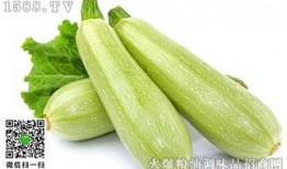 西葫芦瓜如何吃最好吃视频