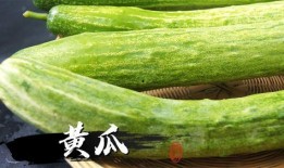 给我放一个吃瓜视频怎么拍,揭秘短视频制作技巧