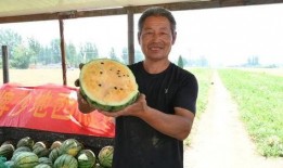 盐城最新吃瓜事件视频,视频揭秘惊人真相