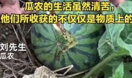 偷瓜吃的视频大全图片,视频大全里的欢乐瞬间