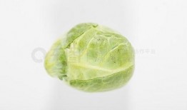 吃瓜网络素材视频,趣味横生，笑料百出