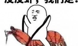 吃瓜视频群众看世界,吃瓜群众视角下的世界百态