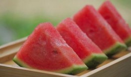 东北吃雪瓜视频,雪瓜冰爽之旅