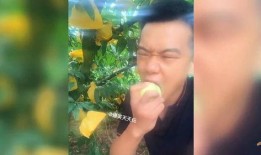 沙漠吃瓜搞笑视频,吃瓜搞笑视频带你领略沙漠风情