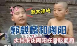 吃瓜合集的视频,盘点娱乐圈那些令人捧腹的幕后故事