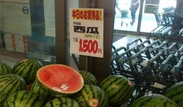 鹤壁一中吃瓜视频,揭秘校园生活趣味瞬间