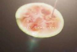 星星吃瓜视频,揭秘娱乐圈幕后故事