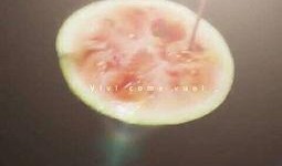 星星吃瓜视频,揭秘娱乐圈幕后故事