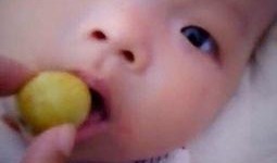 宝宝吃瓜的小视频,吃瓜视频萌化网友心