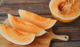 蜜瓜能不能带皮吃呢视频,揭秘能否带皮食用的真相