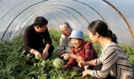 新疆的吃瓜事件视频,一场误会引发的舆论风波