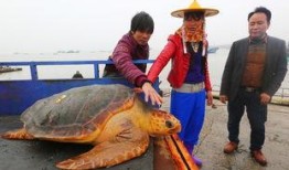 中国渔民吃瓜被抓视频,维权与争议并存