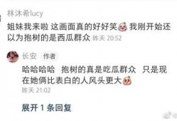 努力吃瓜视频大全播放在线观看,一键在线观看，揭秘娱乐圈幕后故事