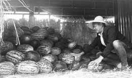 石门吃瓜群众事件视频,一场网络舆论的风暴与反思