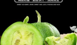 37元吃瓜视频,揭秘网红吃瓜视频背后的美味秘密