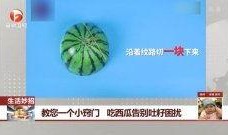 吃瓜吐籽小技巧视频,掌握小技巧，享受夏日清凉