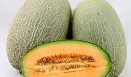 生病吃哈密瓜视频大全,生病食疗视频大盘点