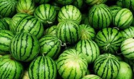 给我放一个吃瓜视频怎么拍,揭秘短视频制作技巧