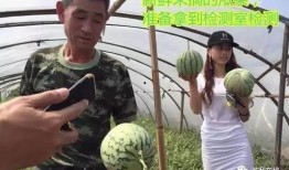 鲁山吃瓜现场直播视频大全,全民围观的热闹盛宴