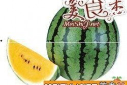 籽瓜熟吃做法视频大全,视频教程大集合