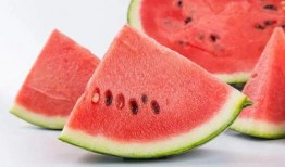 一瓜两吃的西瓜视频,西瓜视频带你解锁夏日美食新境界