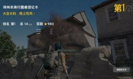 浮云瓜吃鸡视频,畅游虚拟战场，体验极限竞技魅力