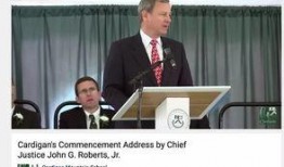 法官在线吃瓜视频,法庭内外趣味横生