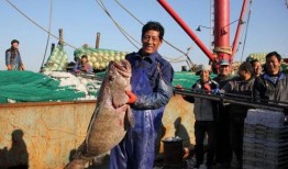 舟山渔民吃瓜事件视频曝光,揭秘渔民真实生活与网络舆论风暴