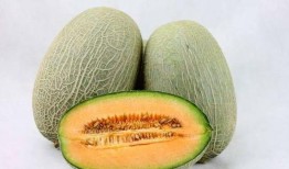 新疆吃哈密瓜烤馕视频大全,哈密瓜烤馕视频大全，尽享丝路美食之旅