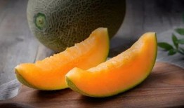 萌宠吃哈密瓜视频大全,哈密瓜盛宴视频大盘点