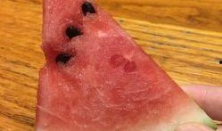 园瓜怎么样吃才好吃视频,这样烹饪让你欲罢不能