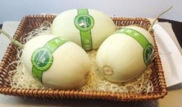 吃白玉瓜切法视频教程,轻松掌握家常美食制作技巧