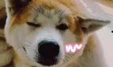 我就静静的吃瓜视频,揭秘“我就静静的吃瓜”视频的魅力